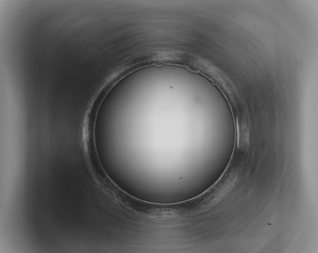 X0000102410435200808081327