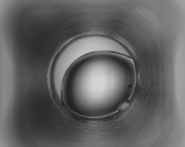 X0000102410436200808081327