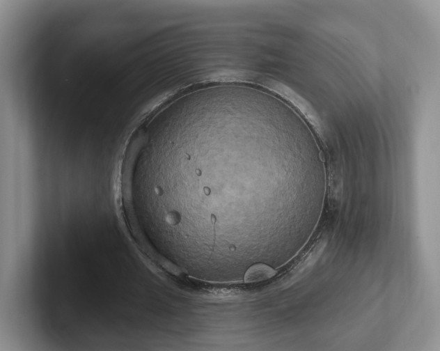 X0000102410437200808081327