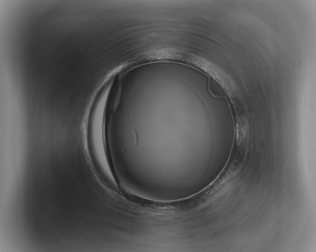 X0000102410438200808081327