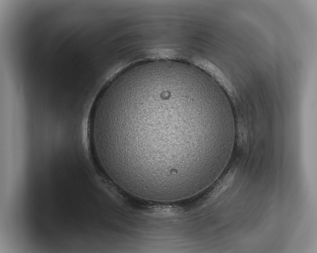 X0000102410439200808081327