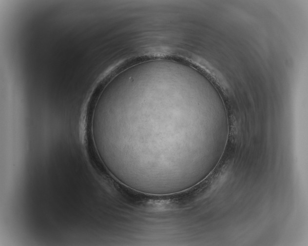 X0000102410440200808081328