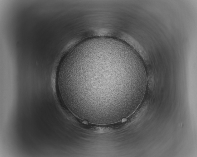 X0000102410442200808081328