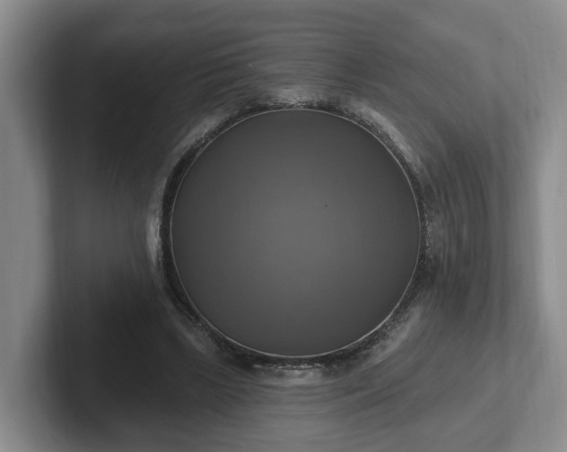 X0000102410443200808081328