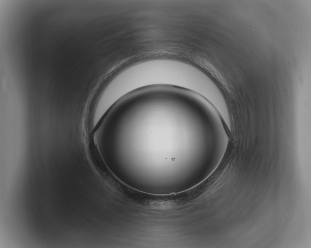 X0000102410444200808081328