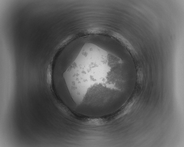 X0000102410446200808081328