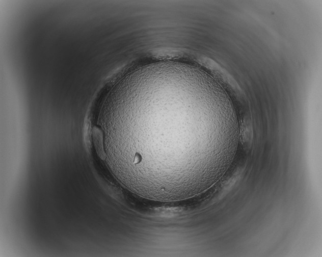 X0000102410448200808081328