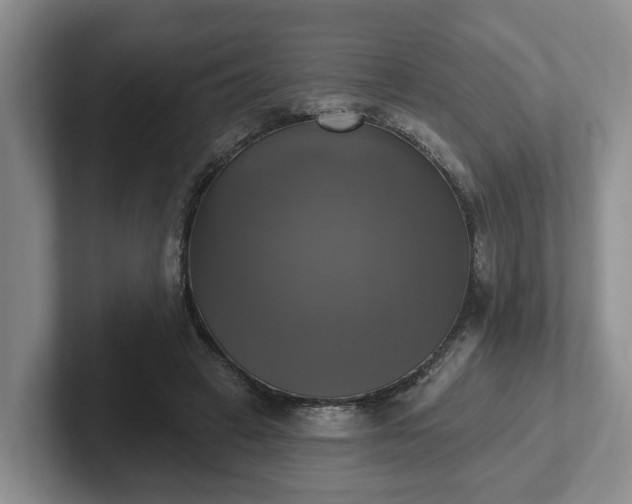 X0000102410449200808081328