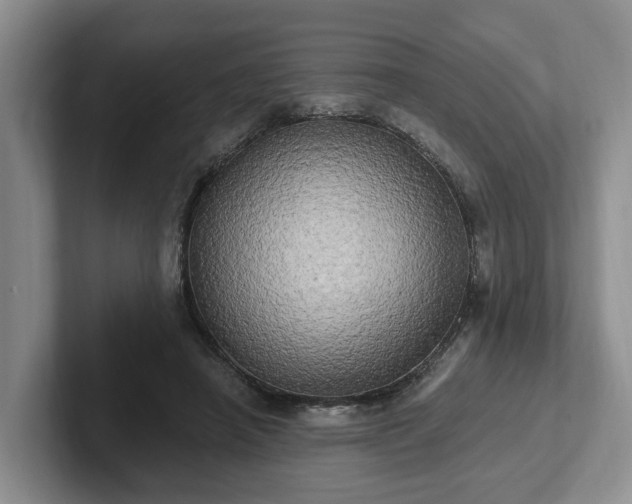 X0000102410450200808081328