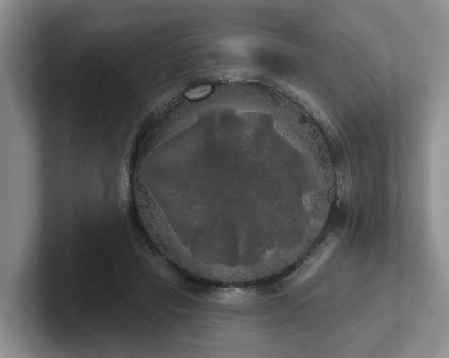 X0000102410453200808081328