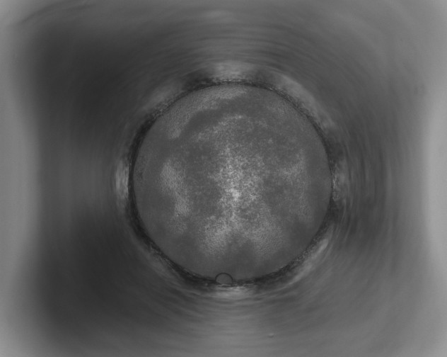 X0000102410454200808081328