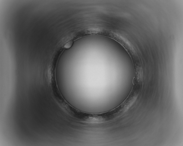 X0000102410455200808081328