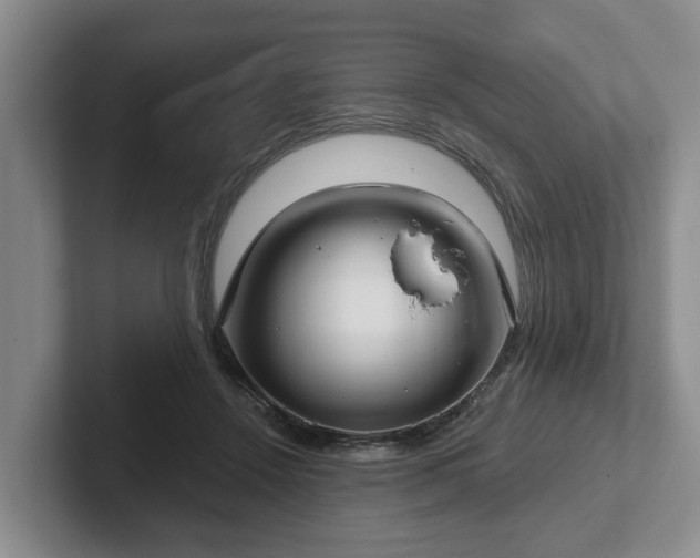 X0000102410456200808081328