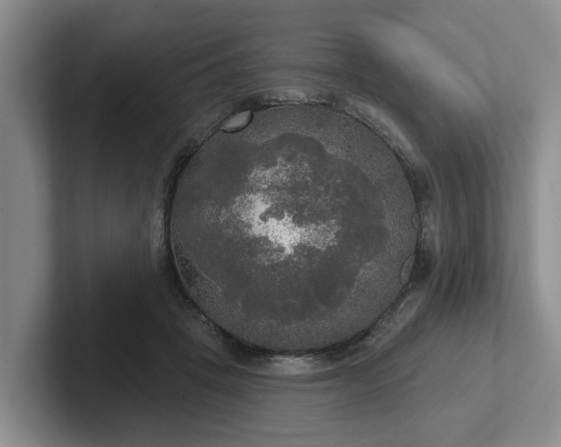 X0000102410457200808081328