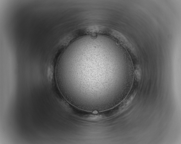 X0000102410458200808081328