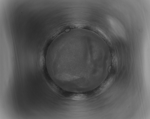 X0000102410459200808081328