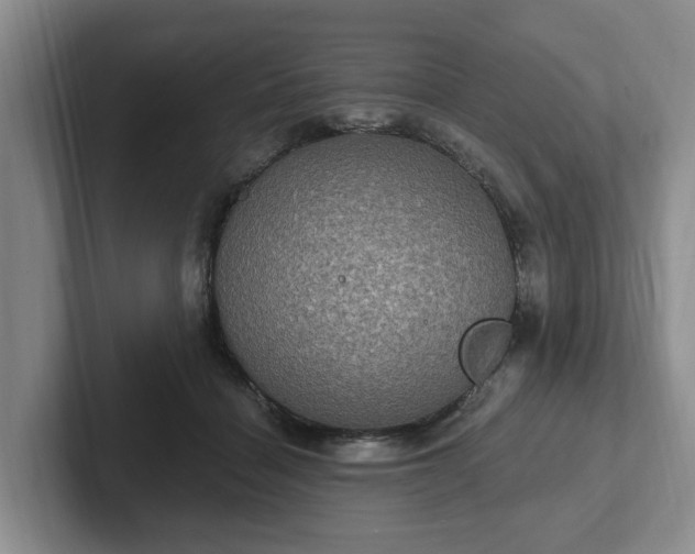 X0000102410460200808081328