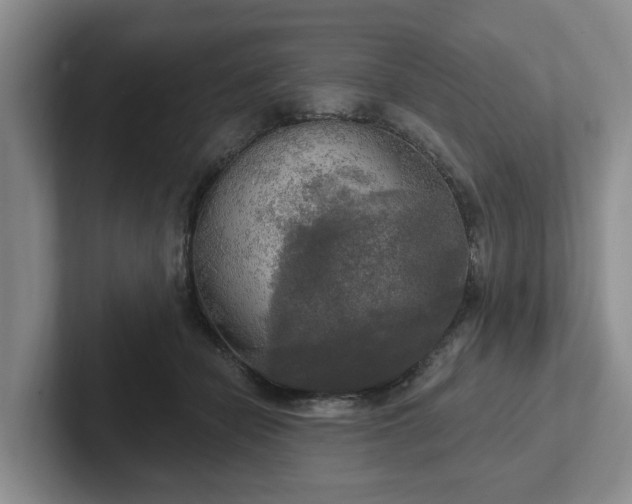 X0000102410462200808081328