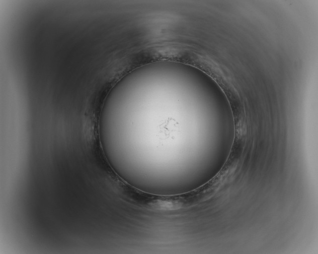 X0000102410464200808081328