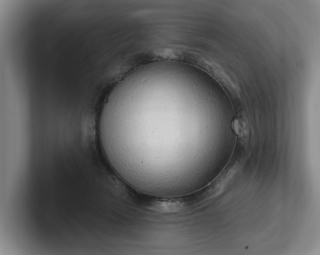 X0000102410466200808081328