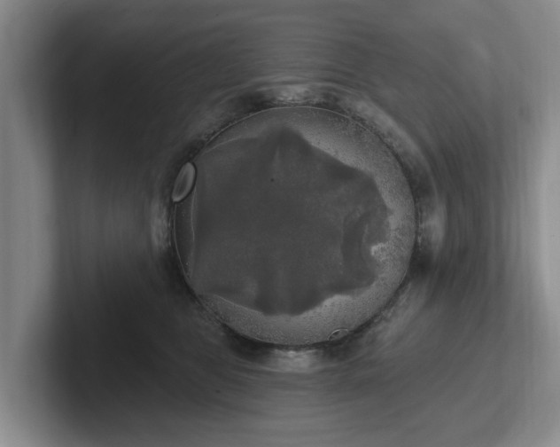 X0000102410469200808081328