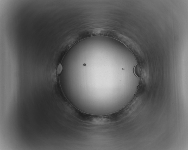 X0000102410470200808081328