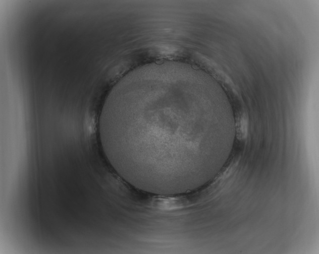 X0000102410472200808081328