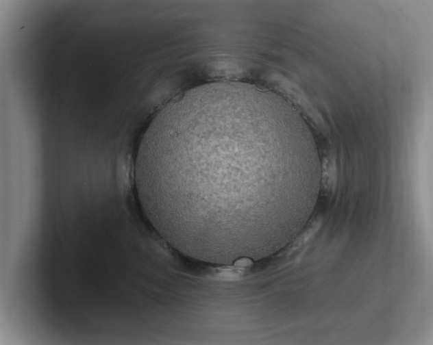 X0000102410474200808081328