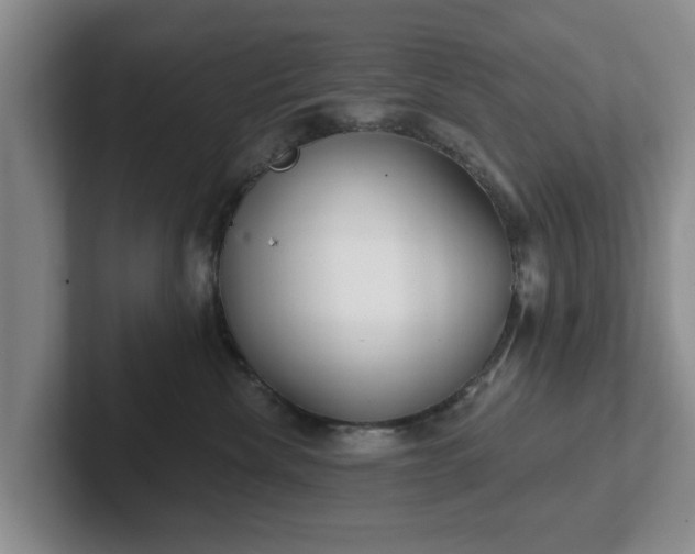 X0000102410476200808081328