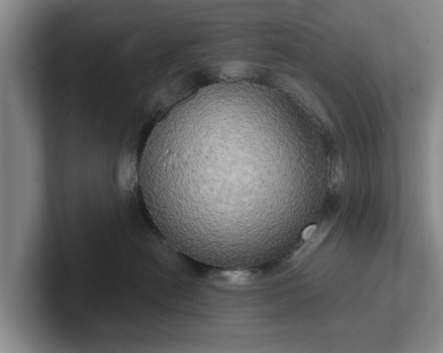 X0000102410478200808081328