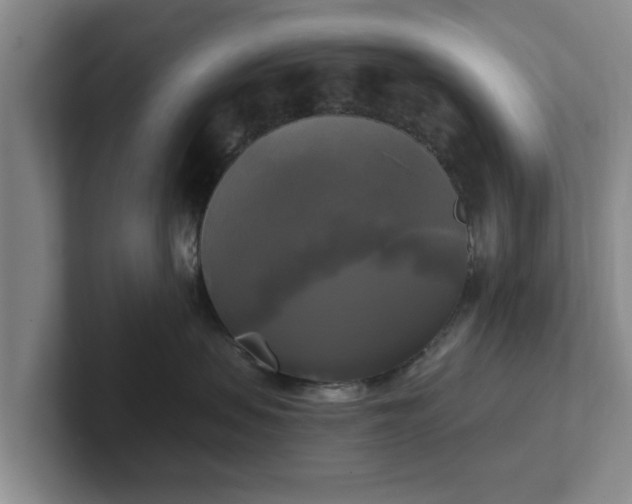 X0000102410479200808081328