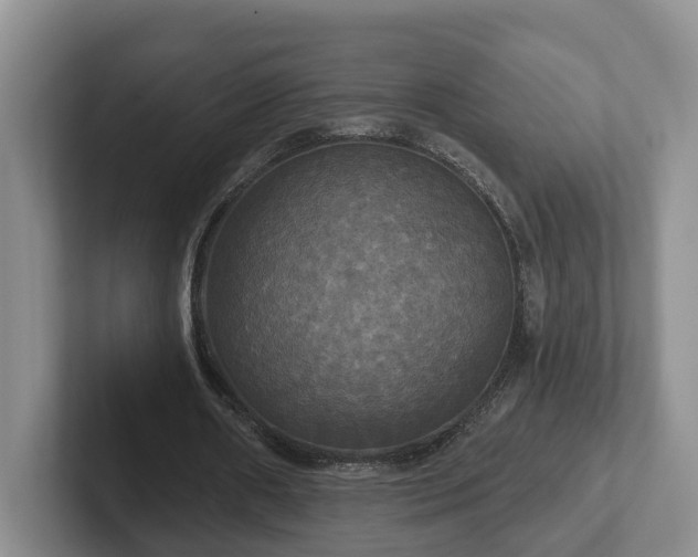 X0000102410482200808081327