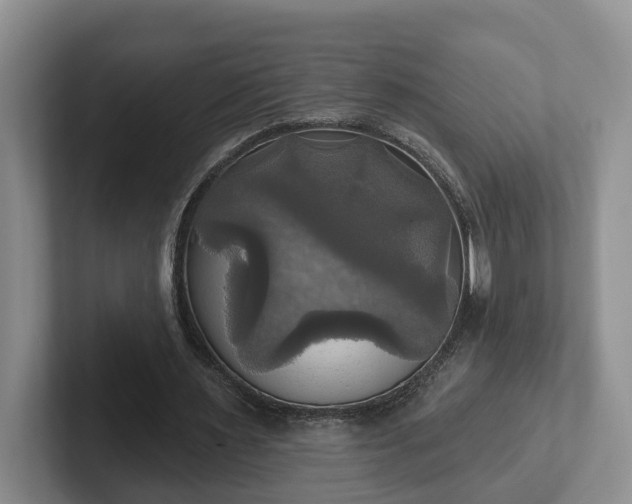 X0000102410483200808081327