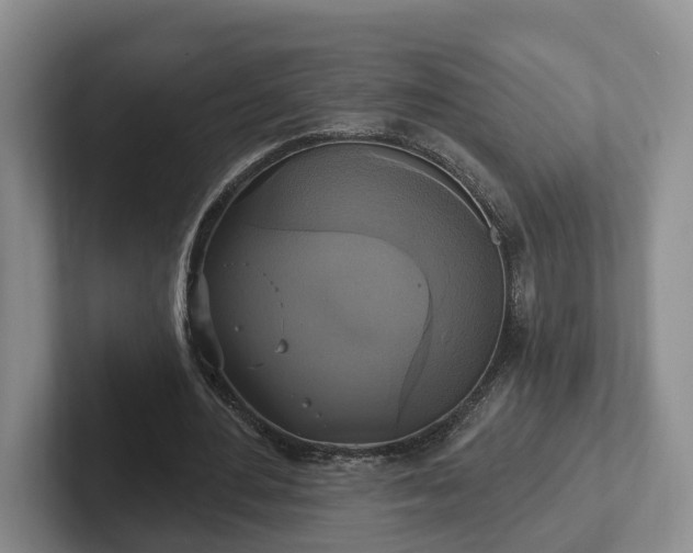 X0000102410484200808081327