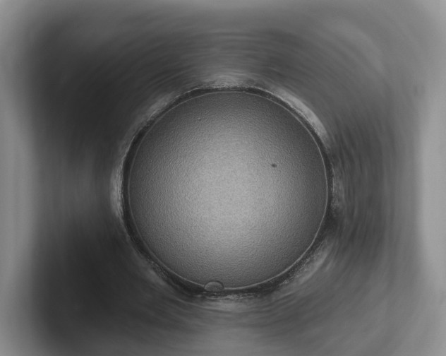 X0000102410485200808081327