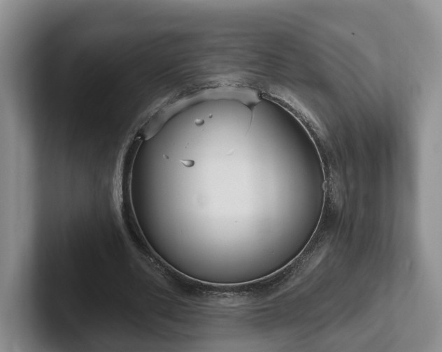 X0000102410486200808081327