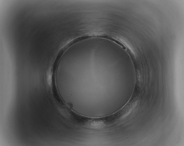 X0000102410491200808081327