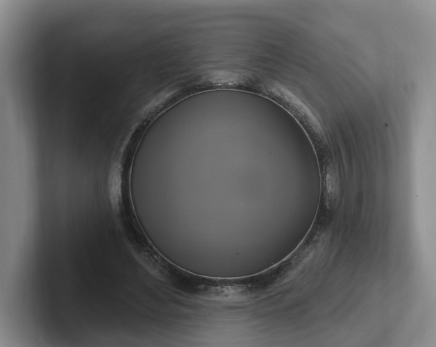 X0000102410492200808081327