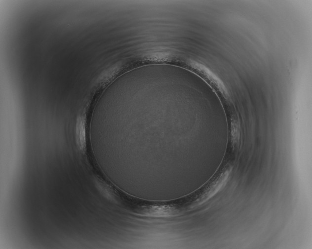 X0000102410493200808081327