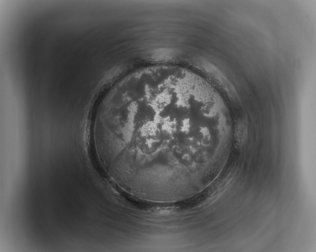 X0000102410495200808081327