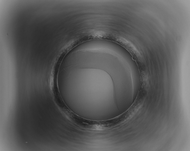 X0000102410496200808081327