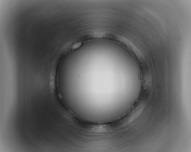 X0000102410497200808081327