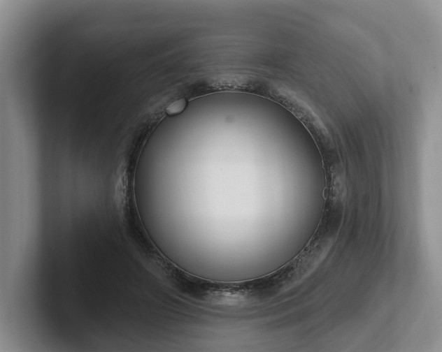 X0000102410498200808081327