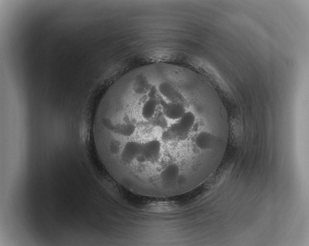 X0000102410499200808081327