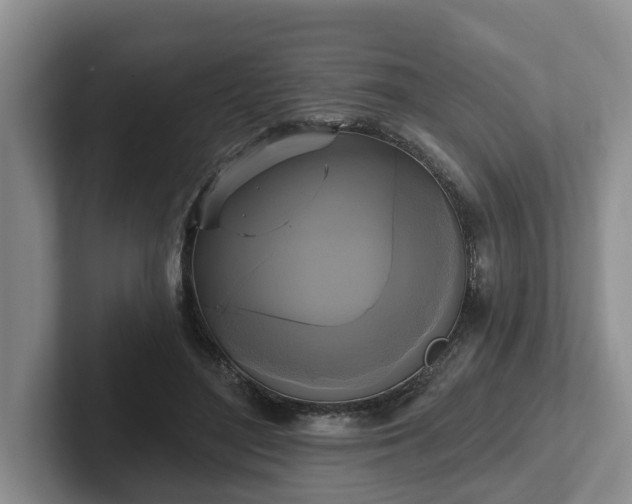 X0000102410500200808081327