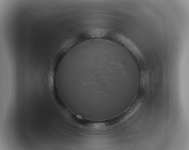 X0000102410501200808081327