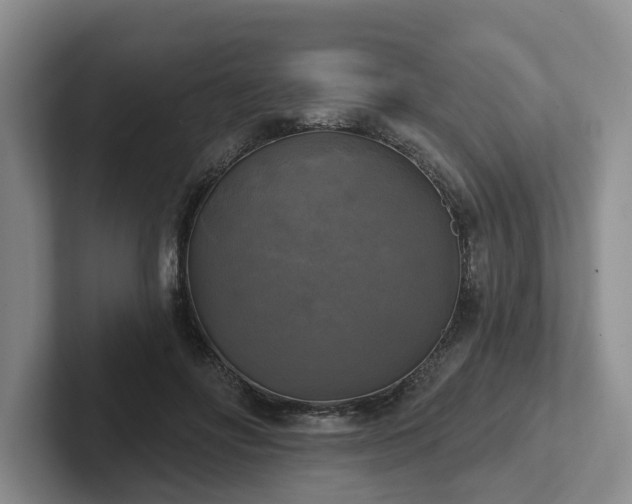 X0000102410502200808081327