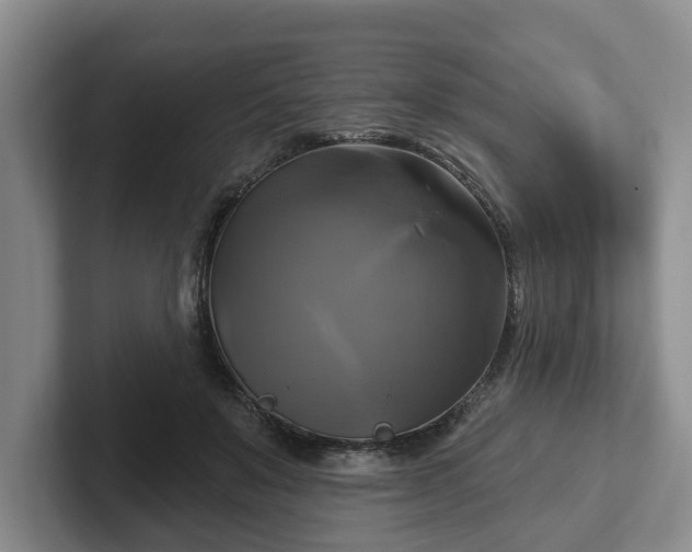 X0000102410503200808081327