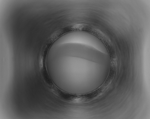 X0000102410504200808081327