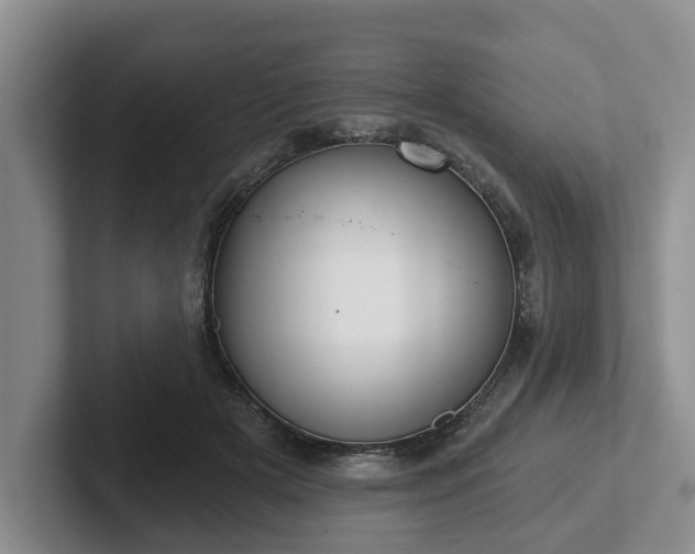 X0000102410505200808081327